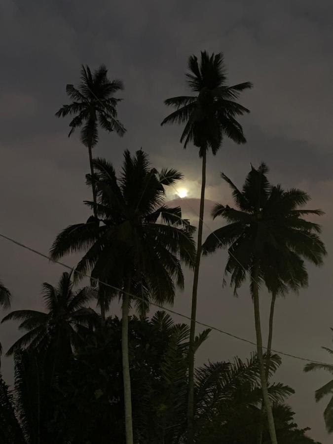 Sabaya Homestay Balik Pulau Bagian luar foto